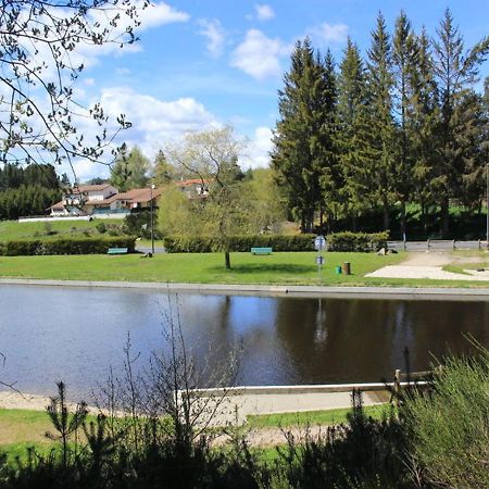 Gite Avec Cheminee, Terrasse Et Wifi - Animaux Acceptes - Fr-1-496-163 Usson-en-Forez Экстерьер фото