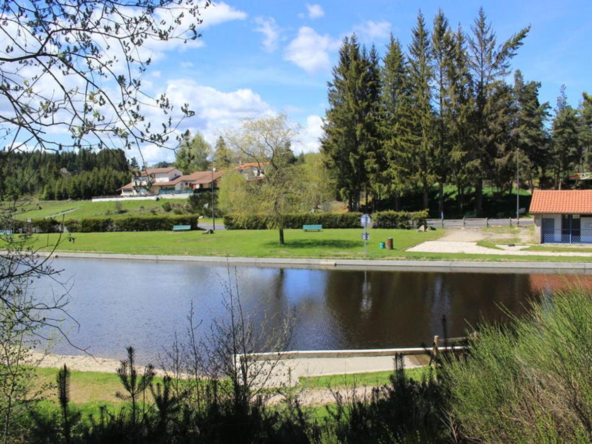 Gite Avec Cheminee, Terrasse Et Wifi - Animaux Acceptes - Fr-1-496-163 Usson-en-Forez Экстерьер фото