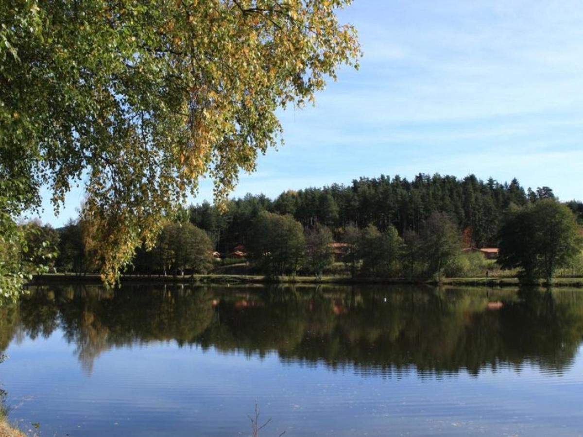 Gite Avec Cheminee, Terrasse Et Wifi - Animaux Acceptes - Fr-1-496-163 Usson-en-Forez Экстерьер фото